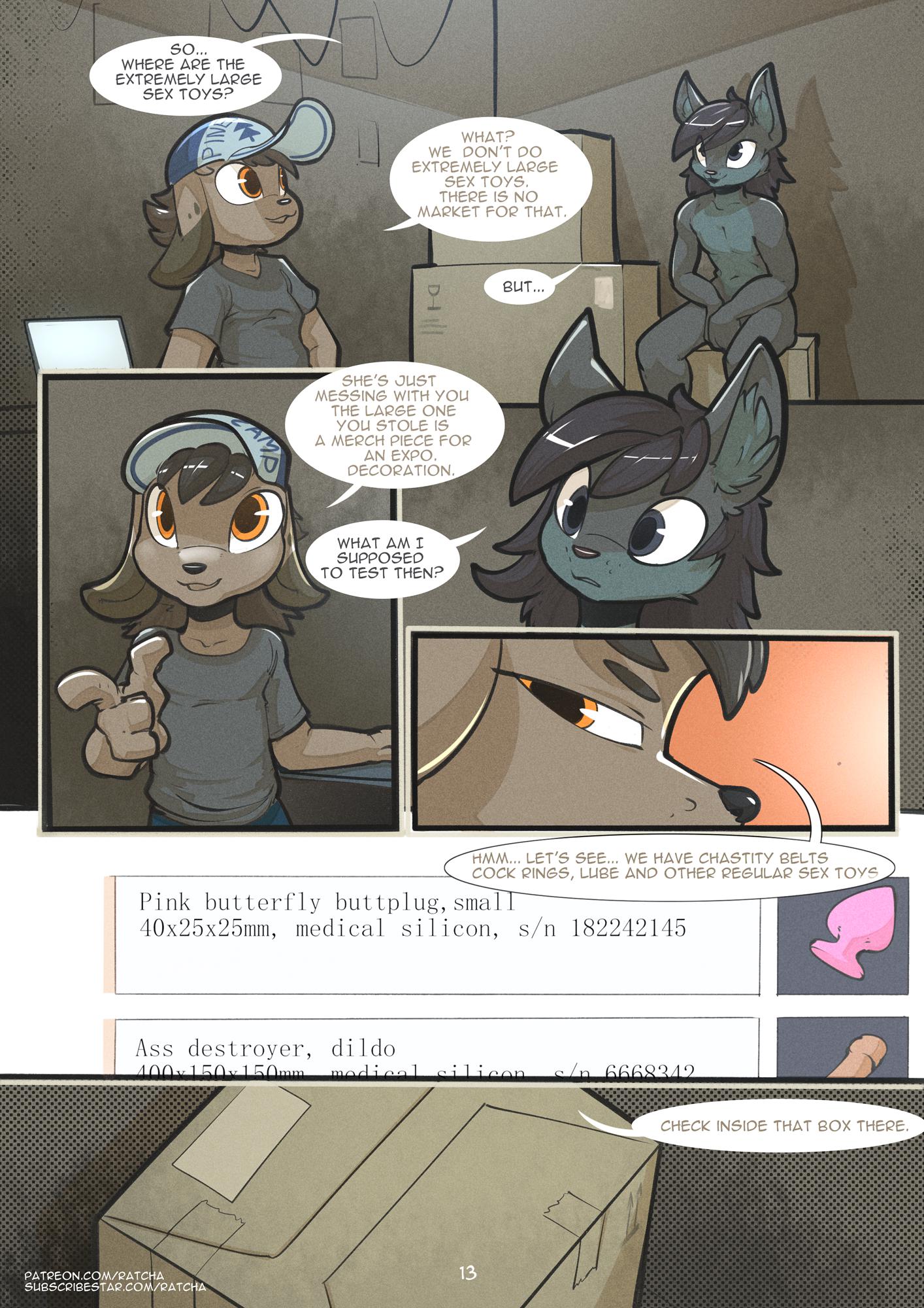 Page 13