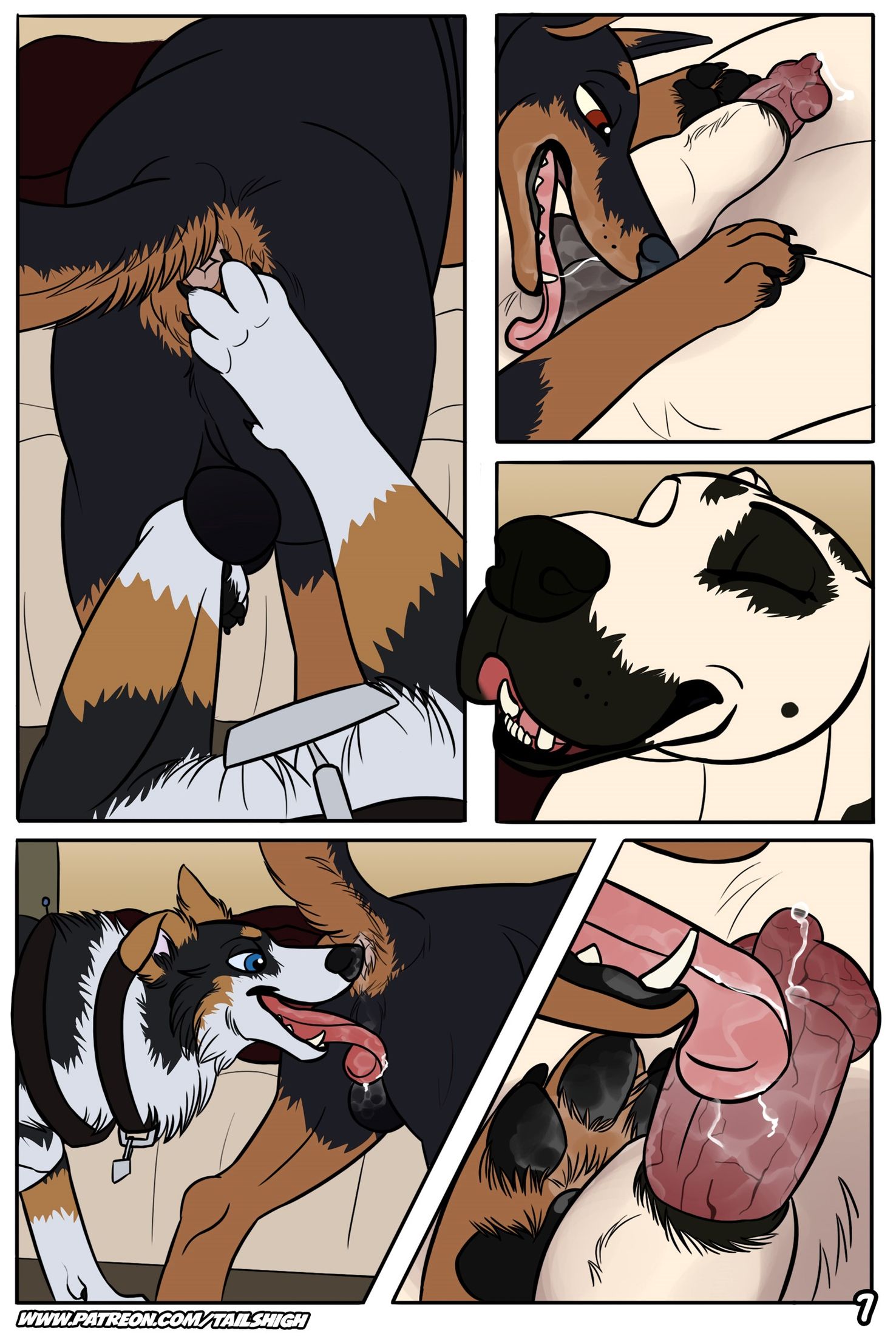 Page 7