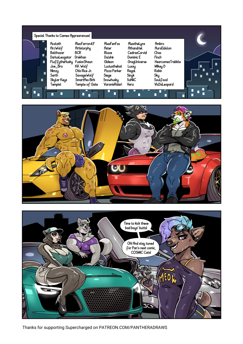 Page 81