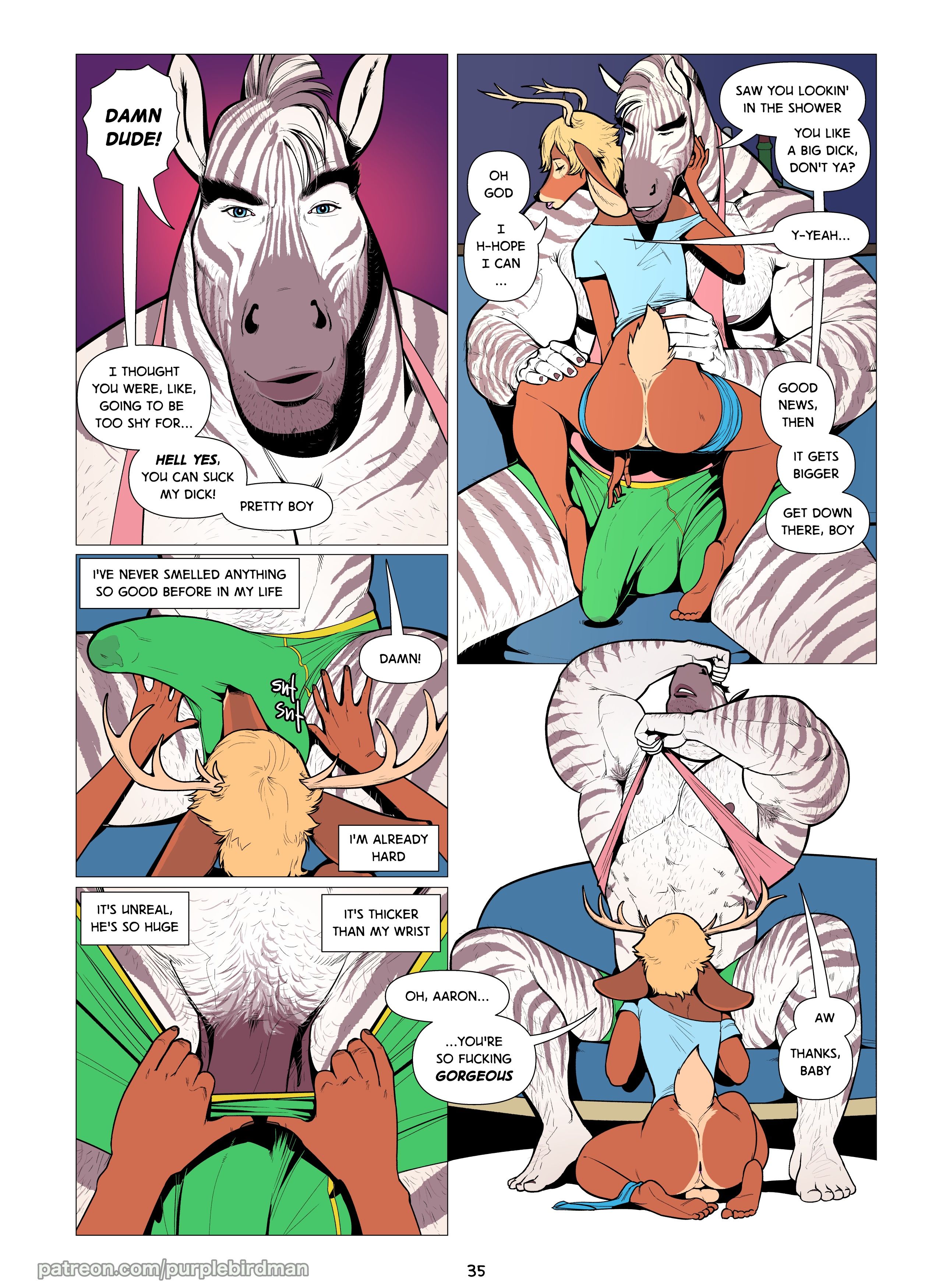 Page 36