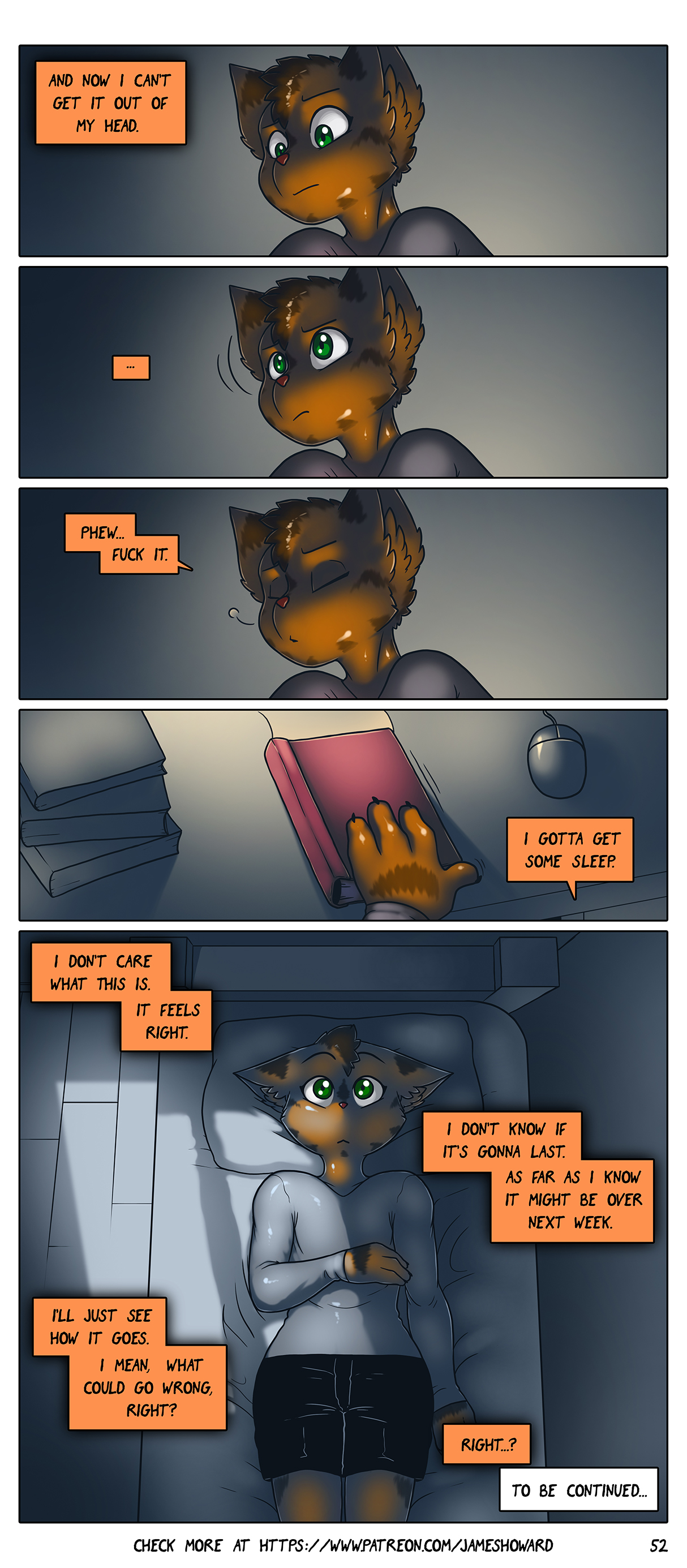 Page 53