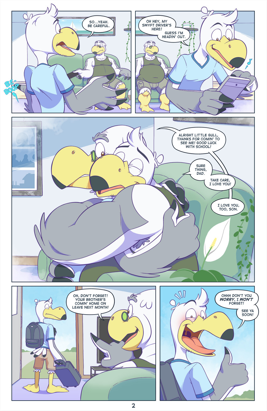 Page 3