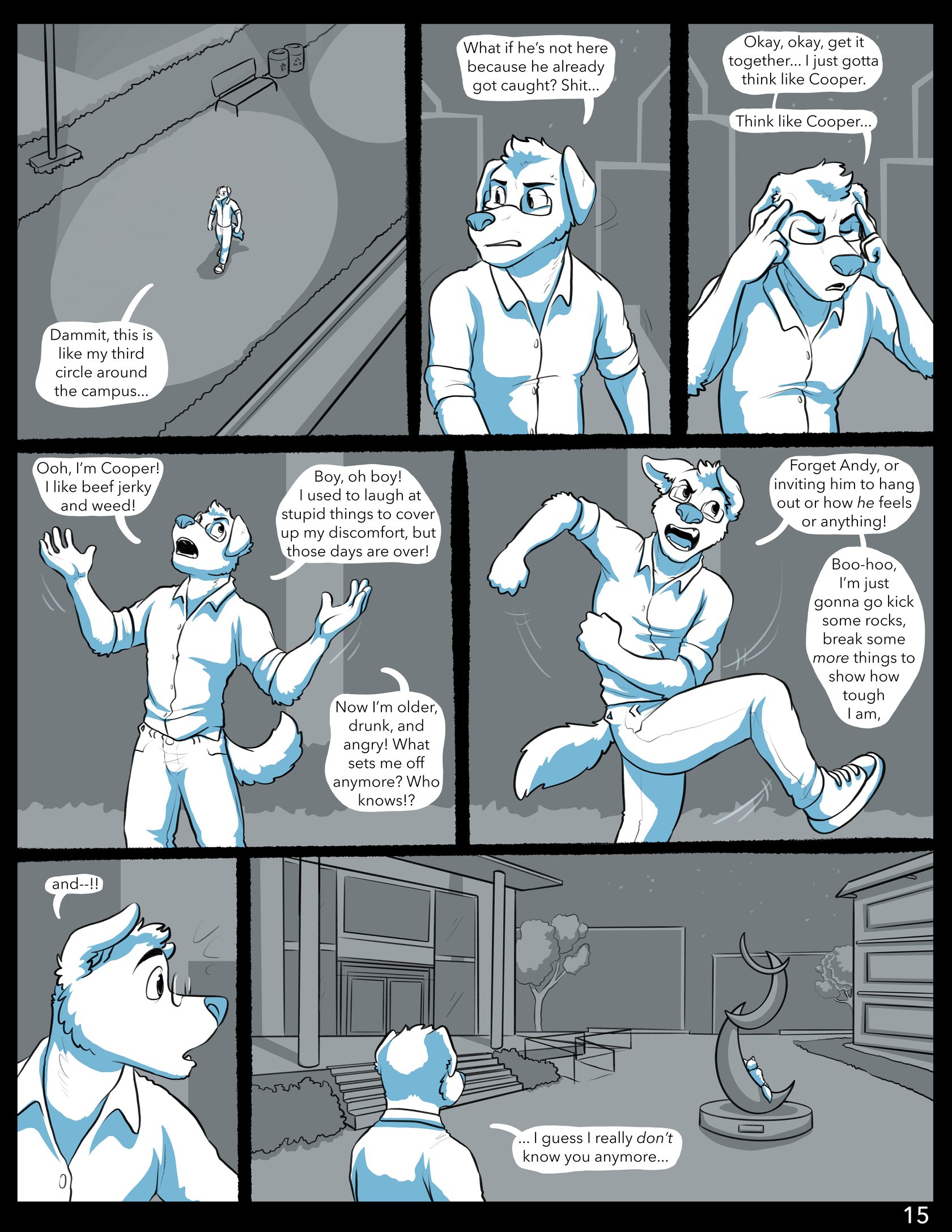 Page 15