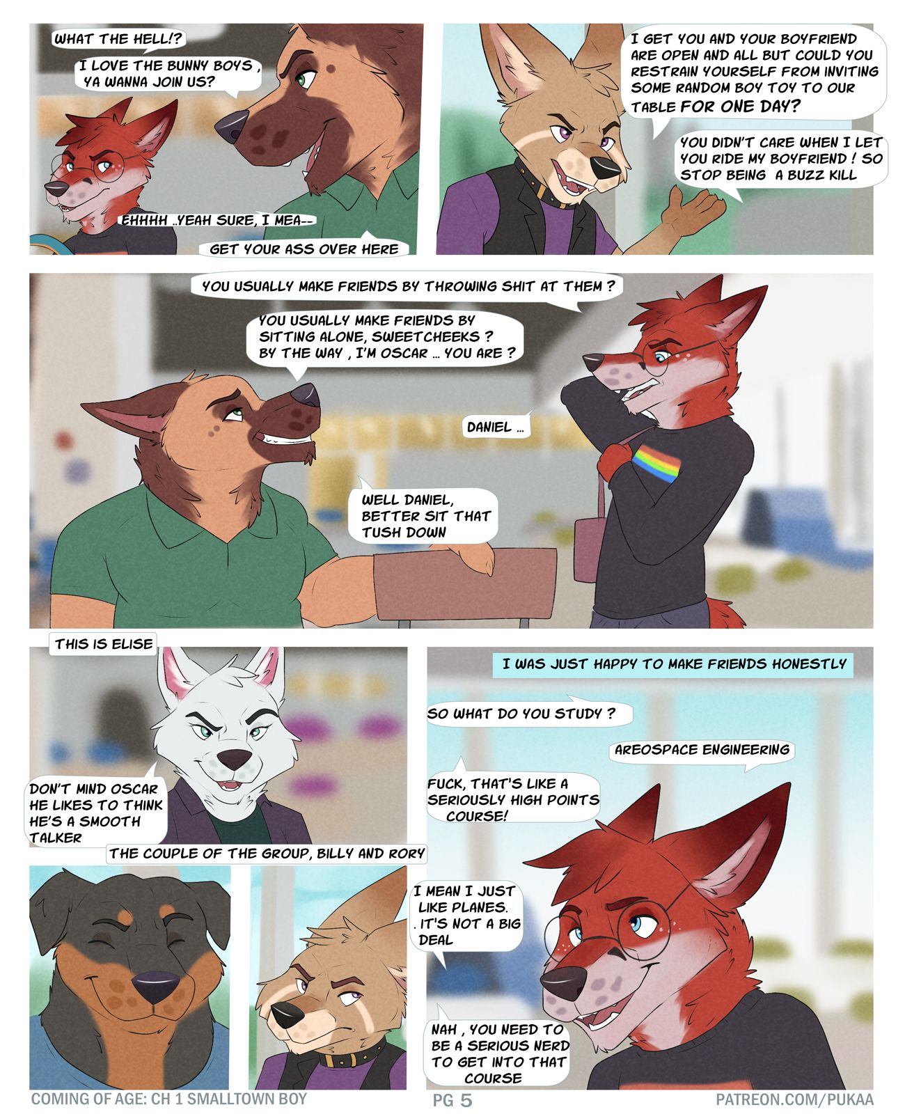 Page 5