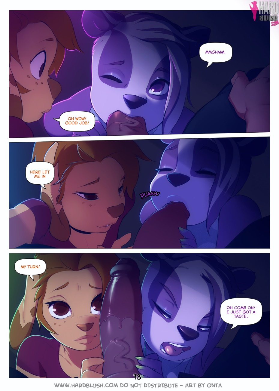 Page 13