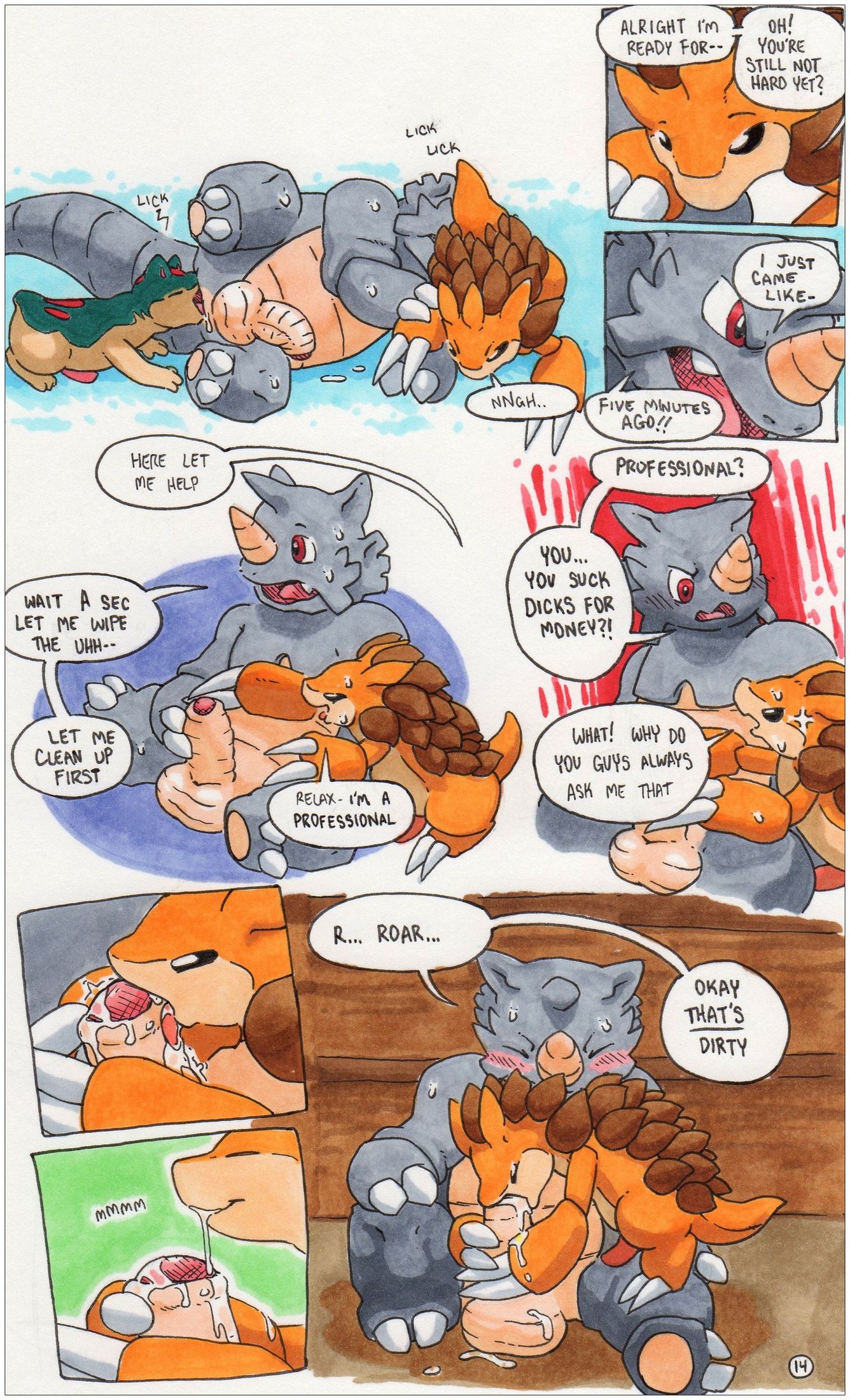 Page 14