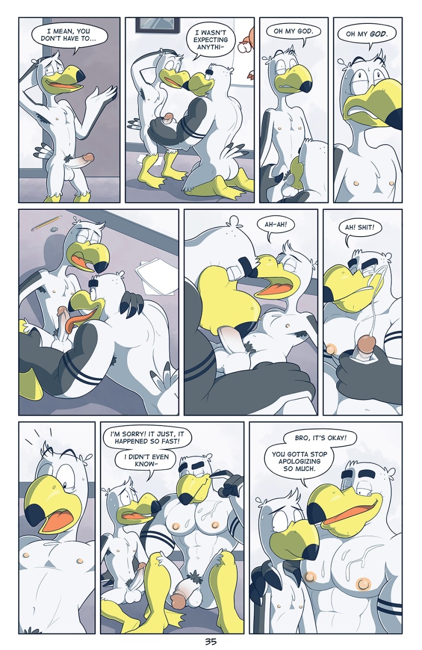 Page 36
