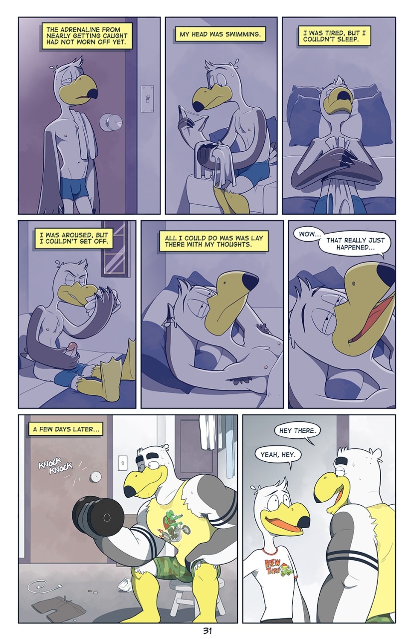 Page 32