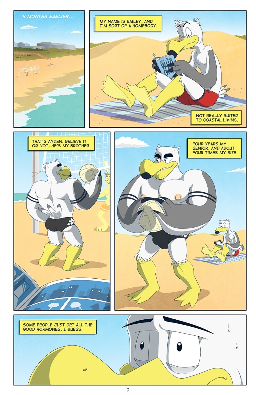 Page 3