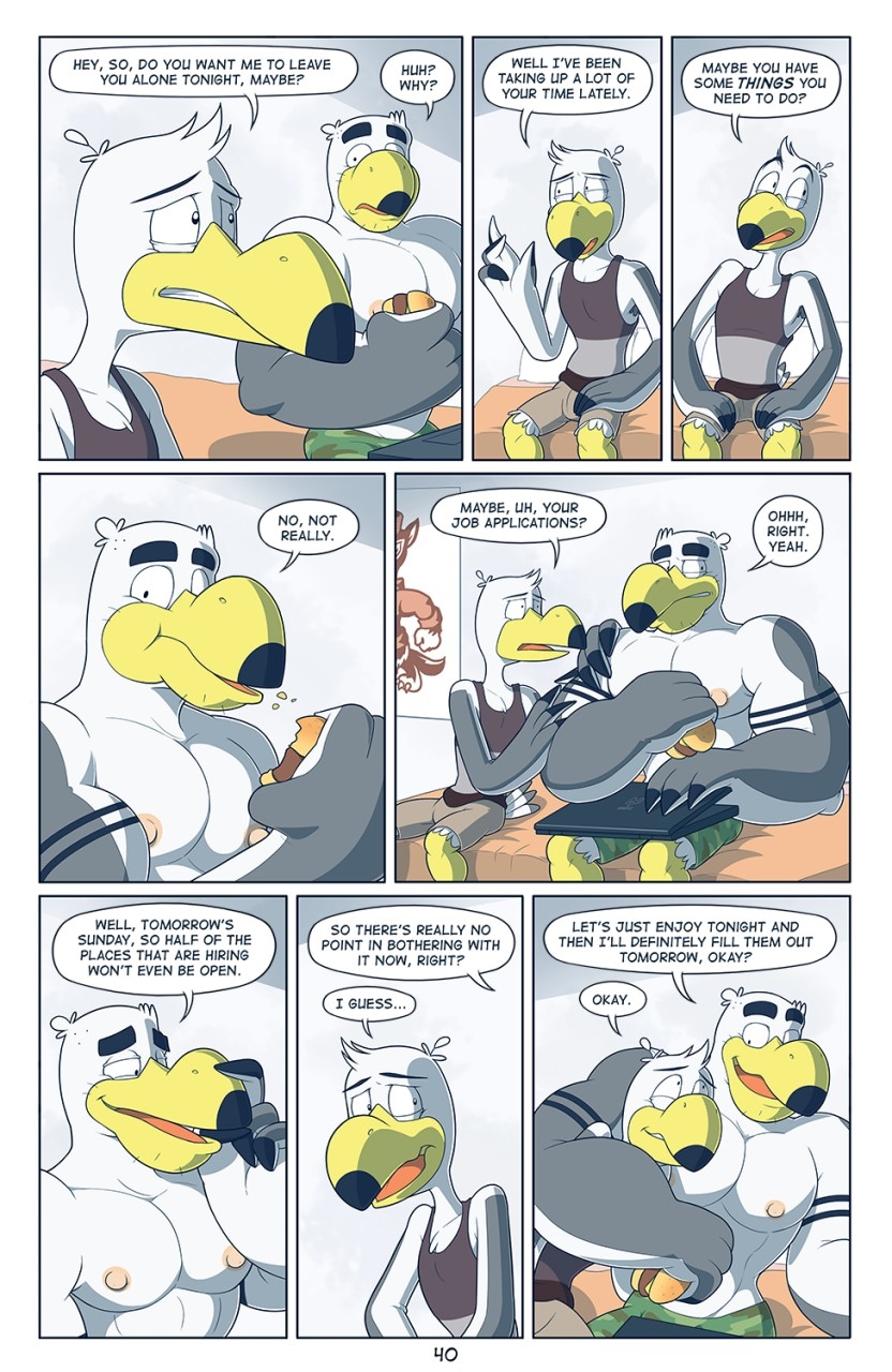 Page 41