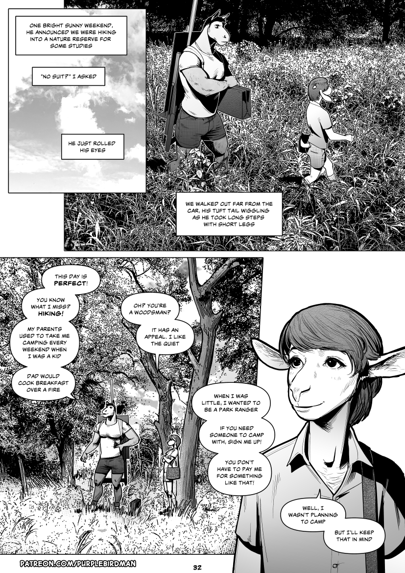 Page 32