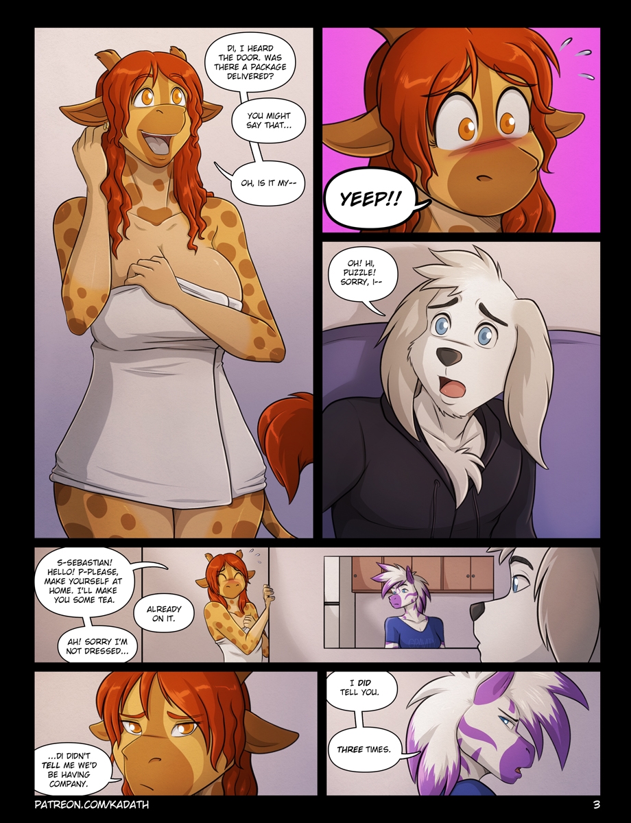 Page 3