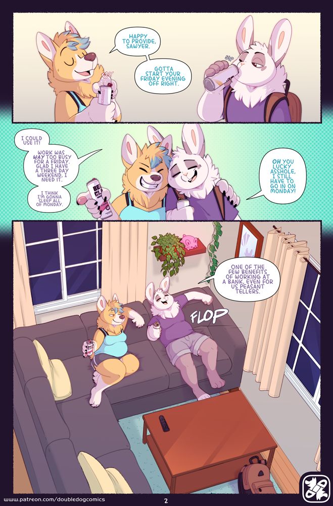 Page 3