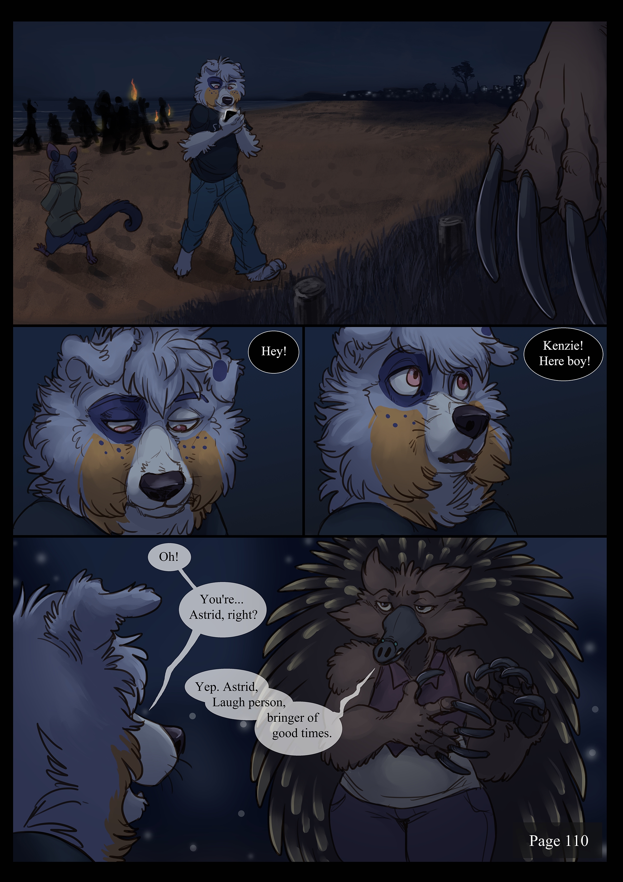 Page 111