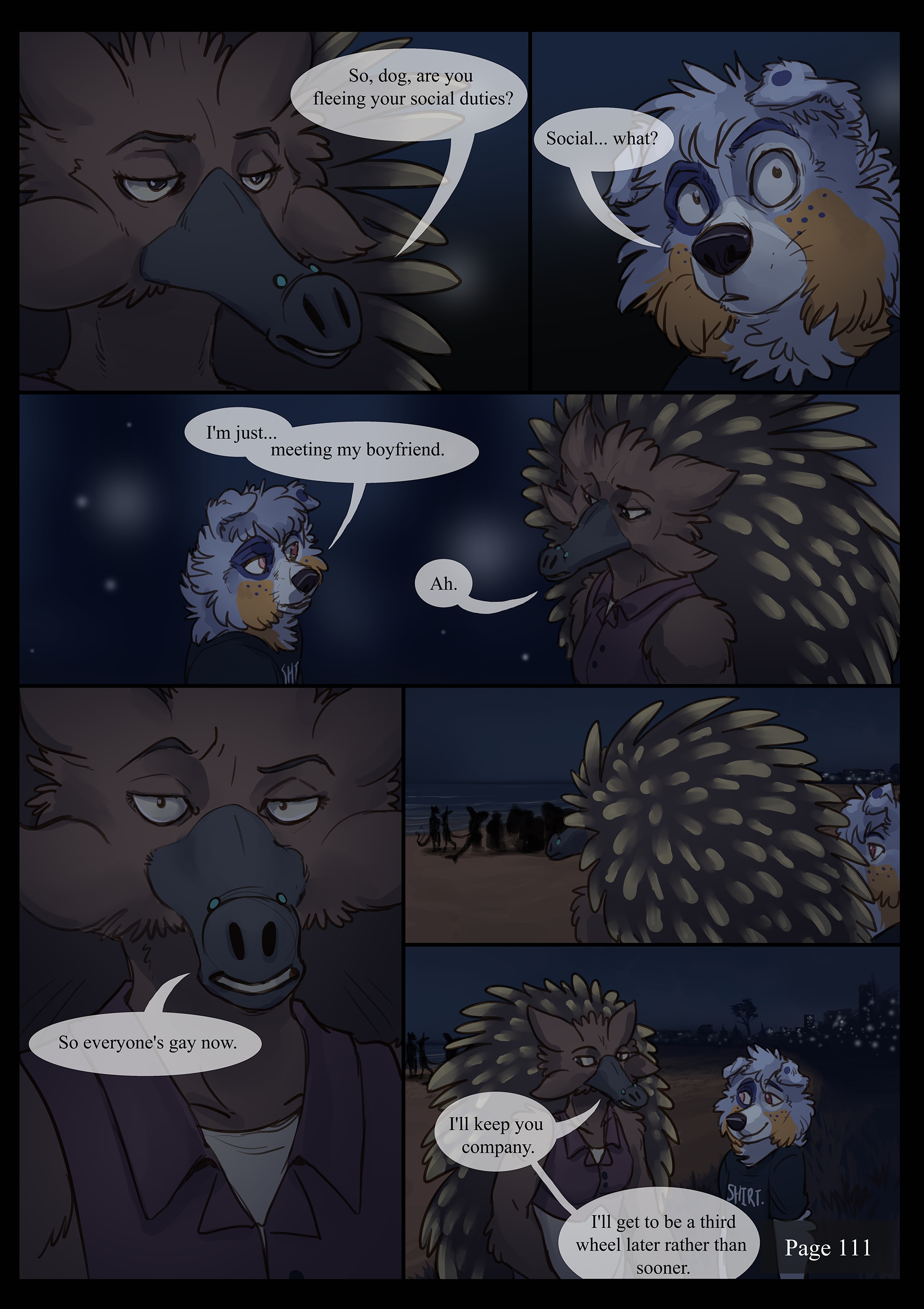 Page 112