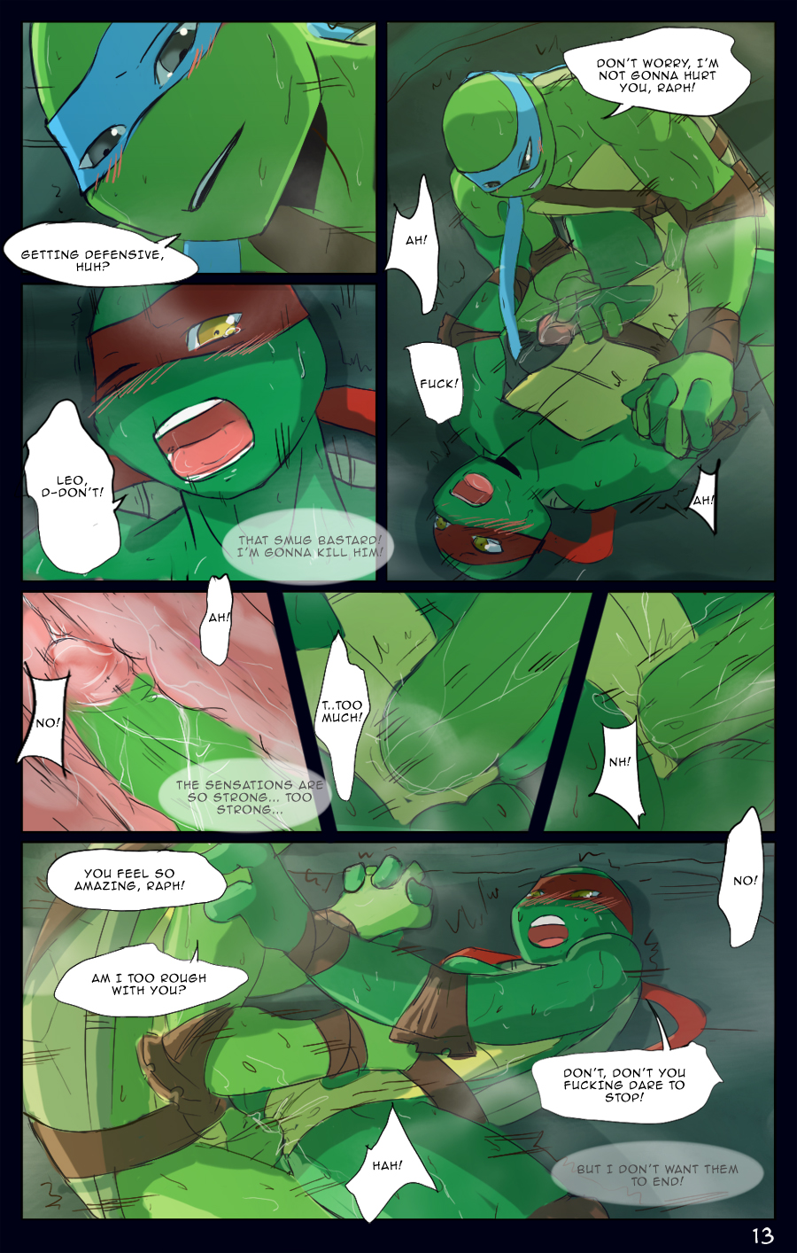 Page 13