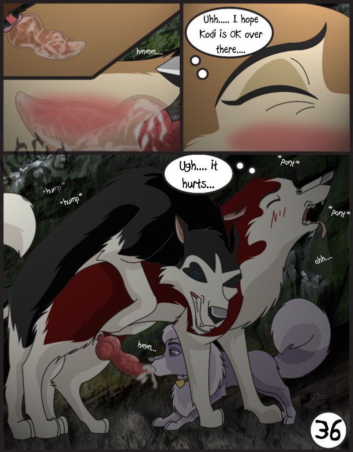 Page 37