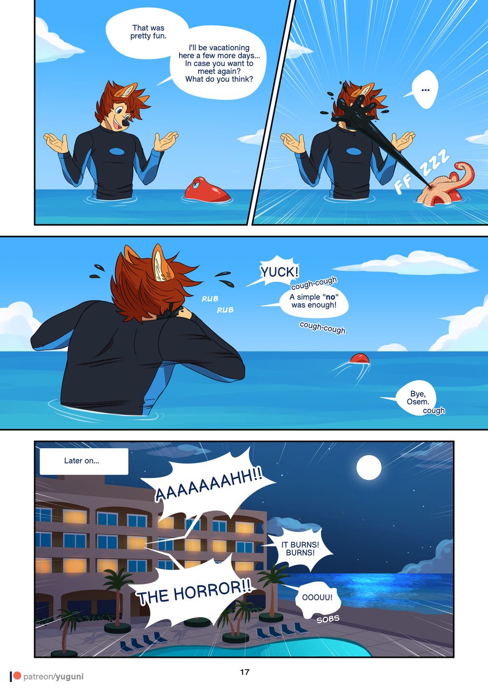 Page 17