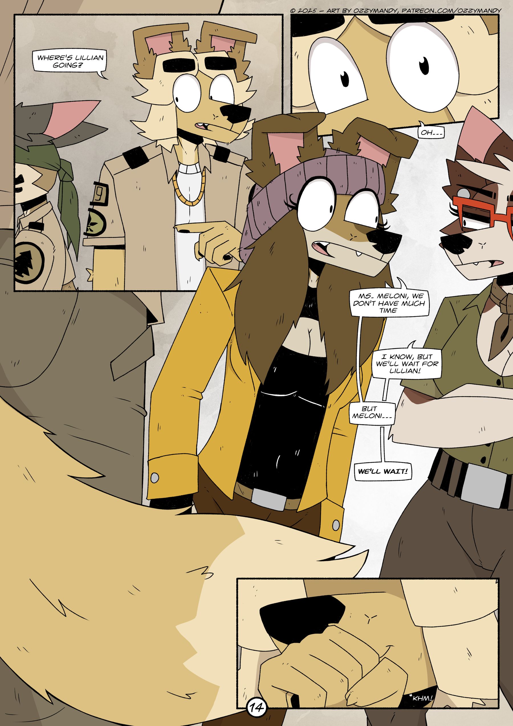 Page 15