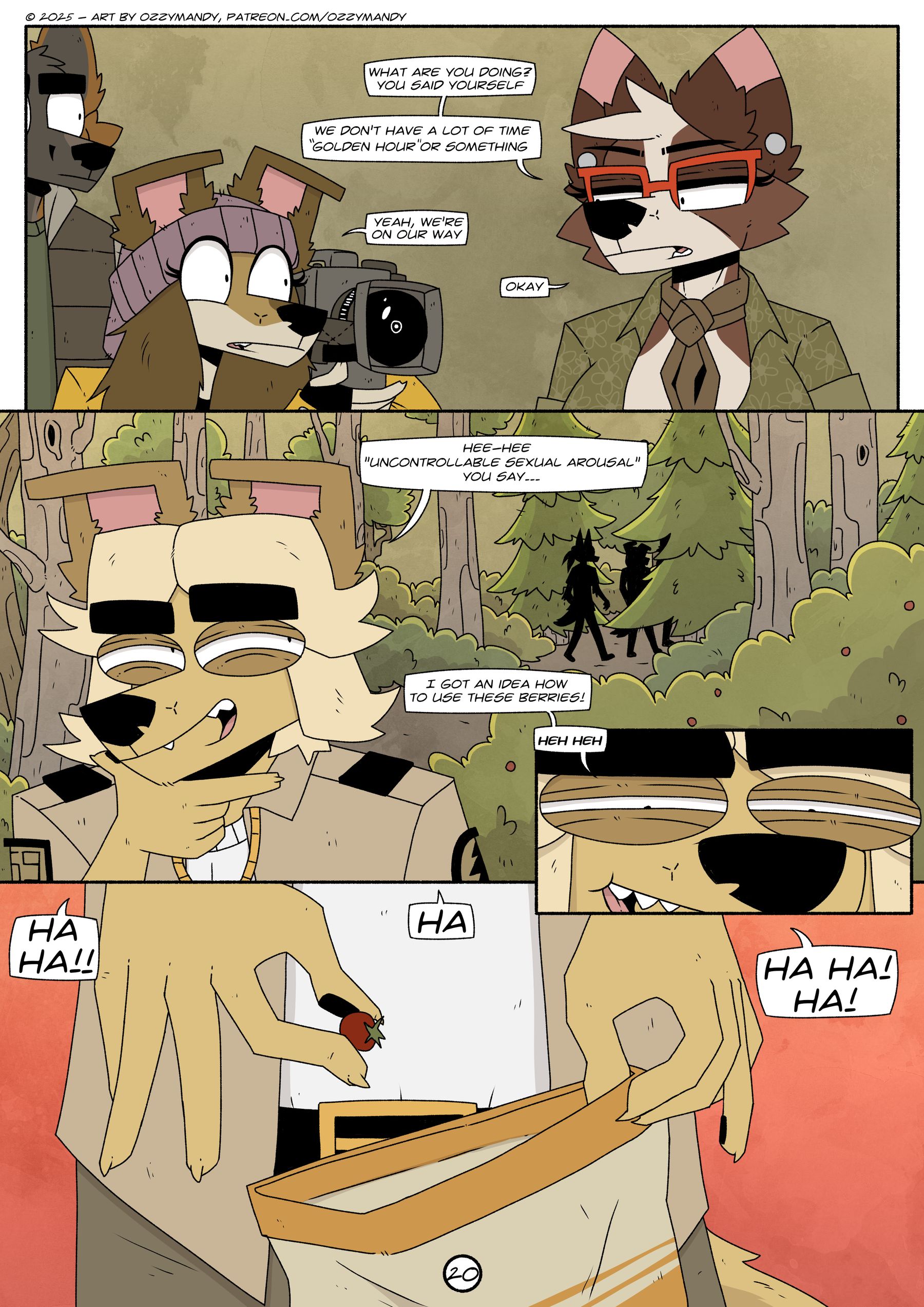 Page 21