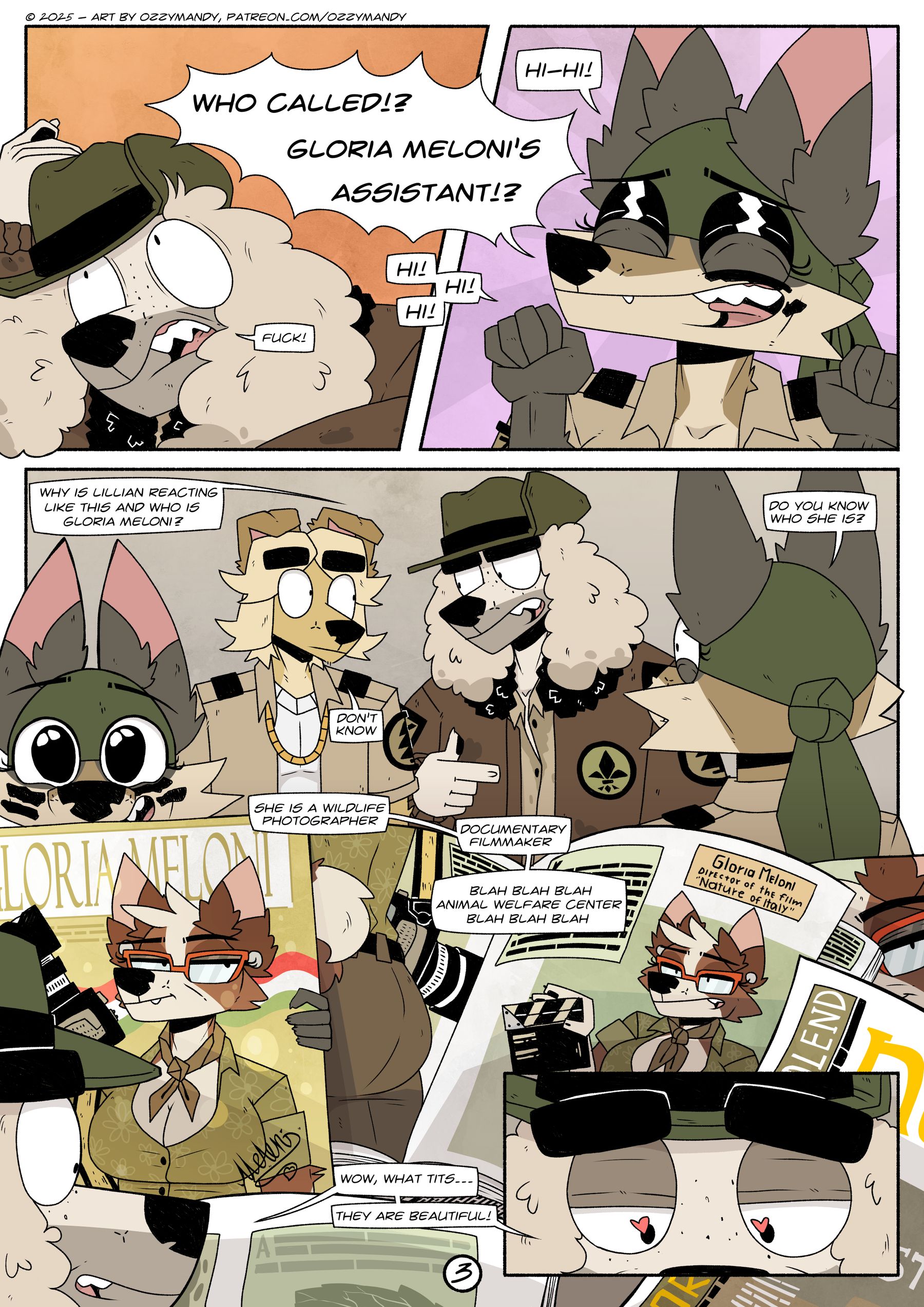 Page 3