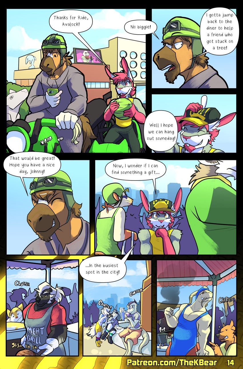 Page 15