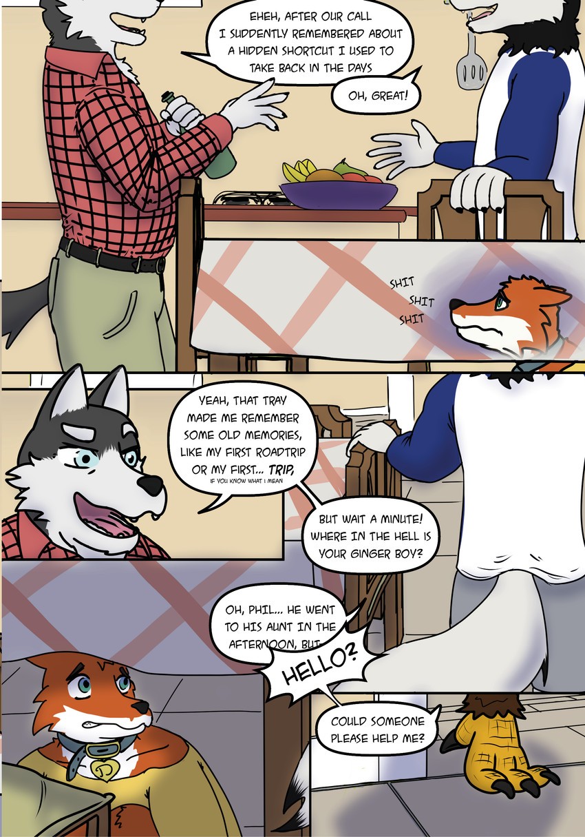Page 17