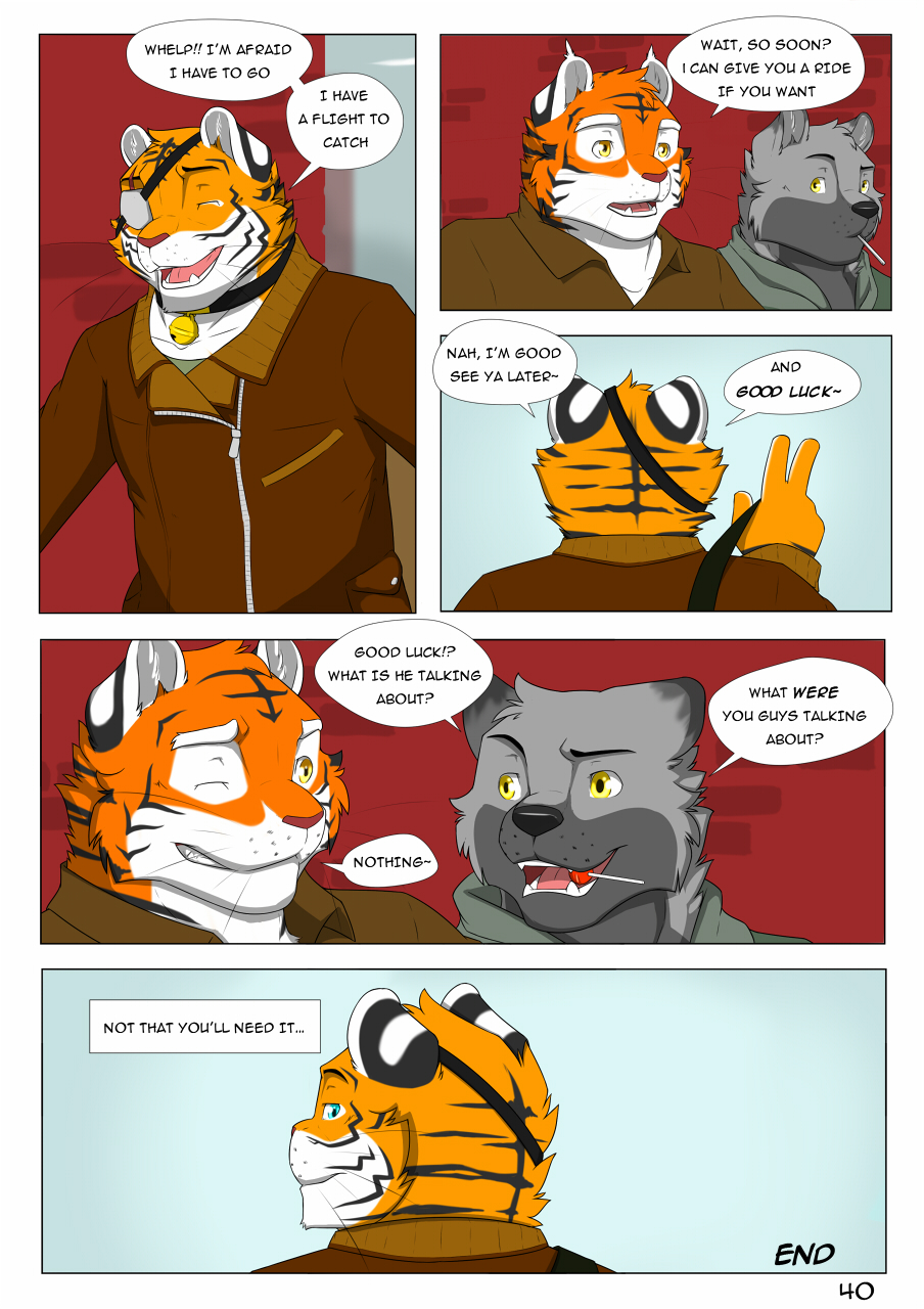 Page 40