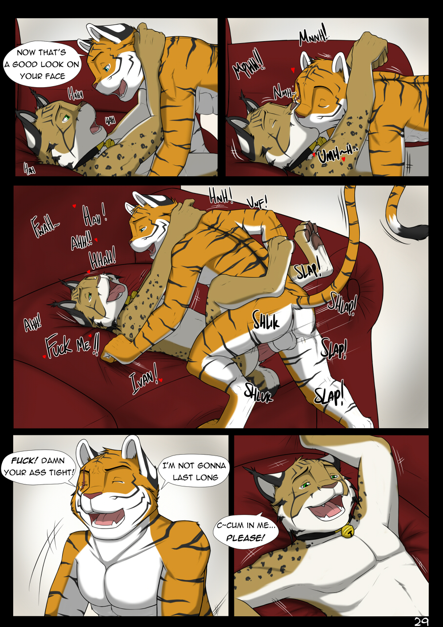 Page 29