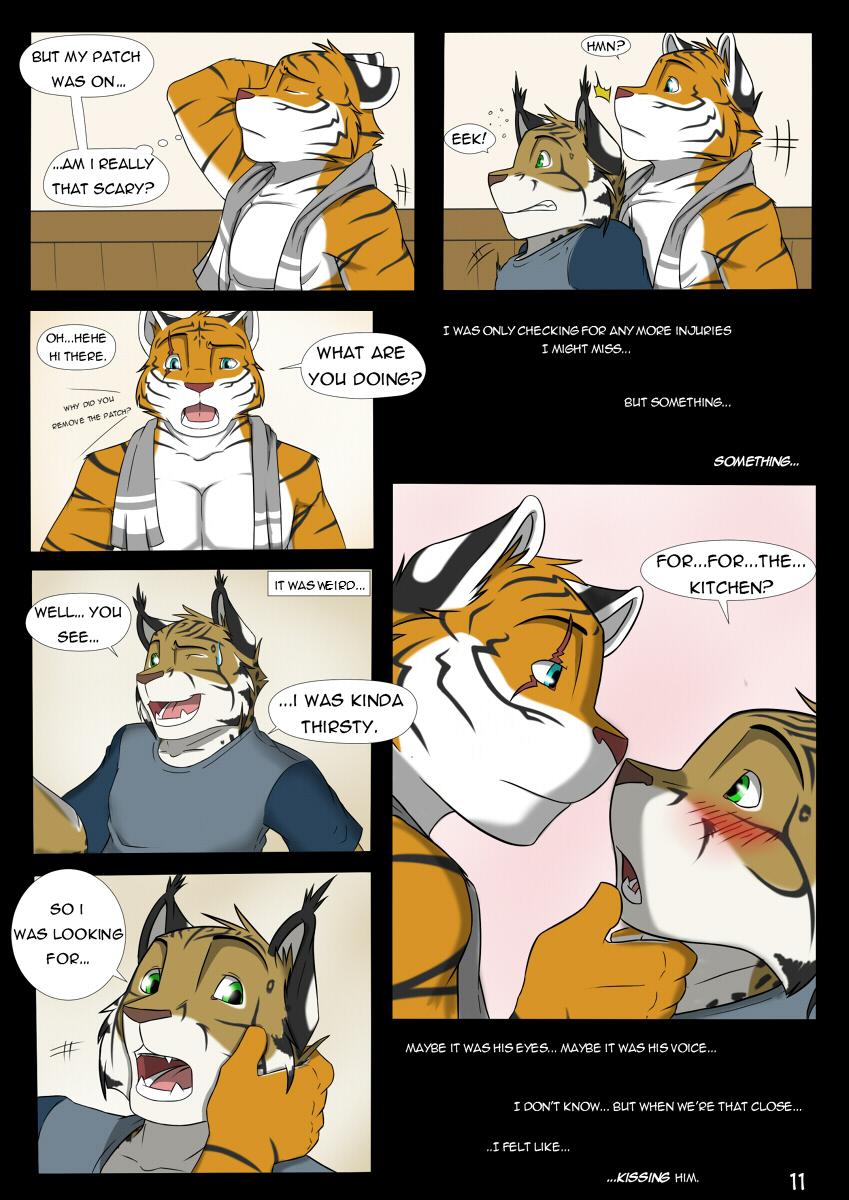 Page 11