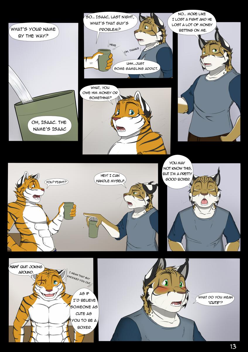 Page 13