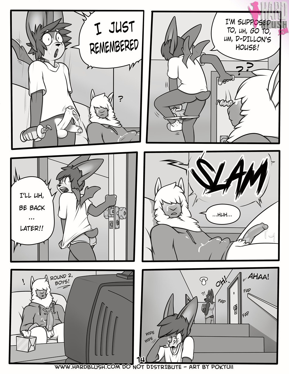 Page 14
