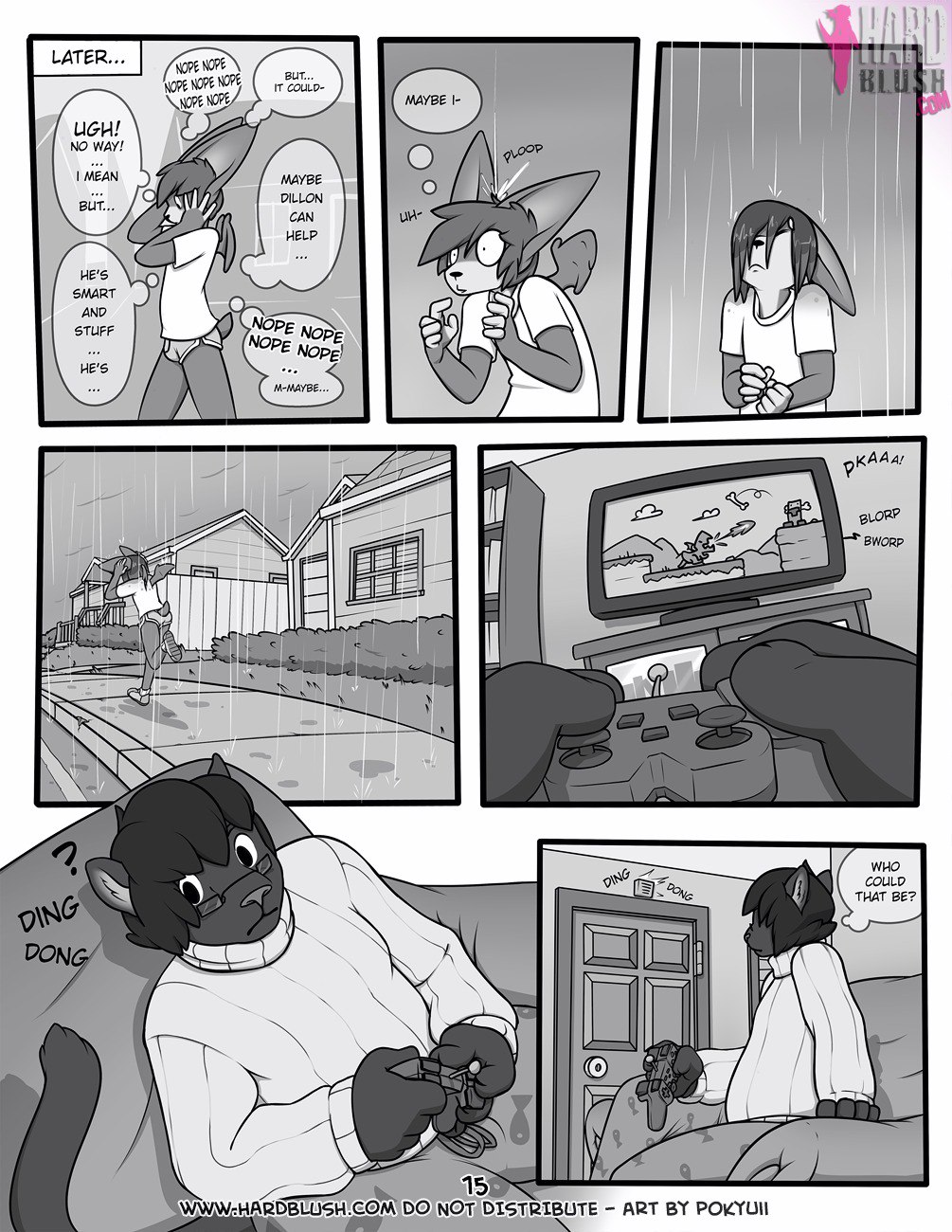 Page 15