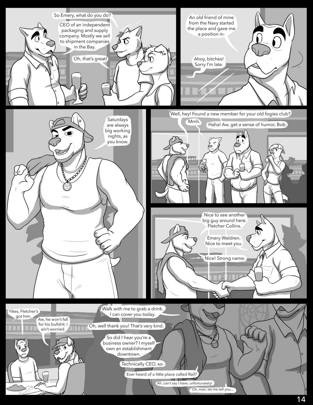 Page 14