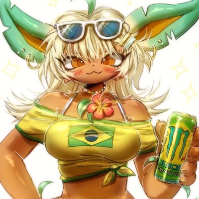 soudobrasil