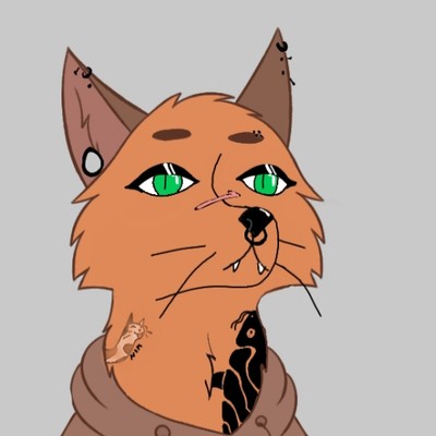 That_one_jackal